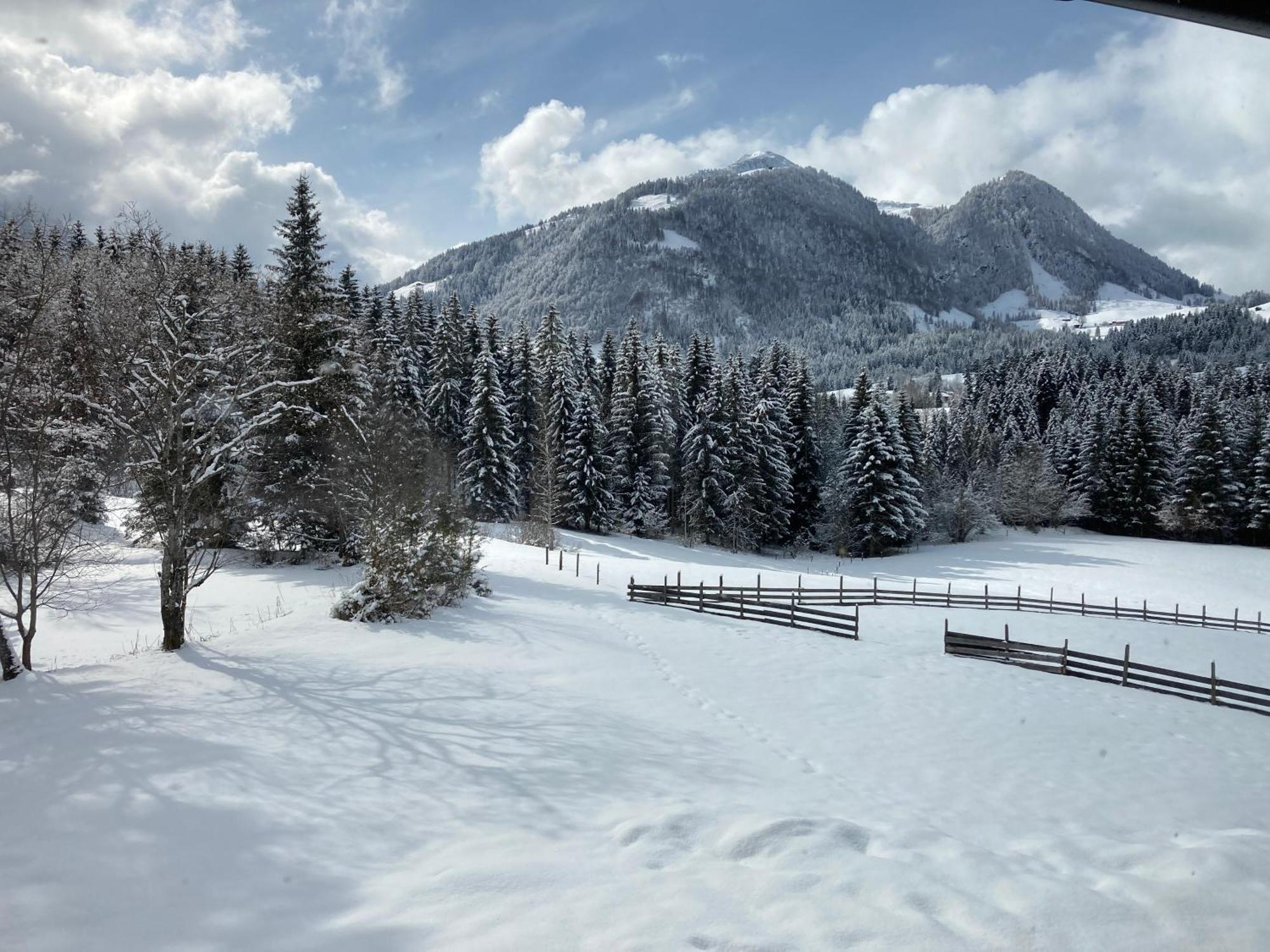 Ferienwohnung Remise Am Reitl Fieberbrunn Exteriör bild